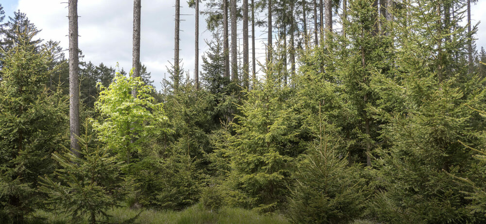 Om302192-07_porici--2