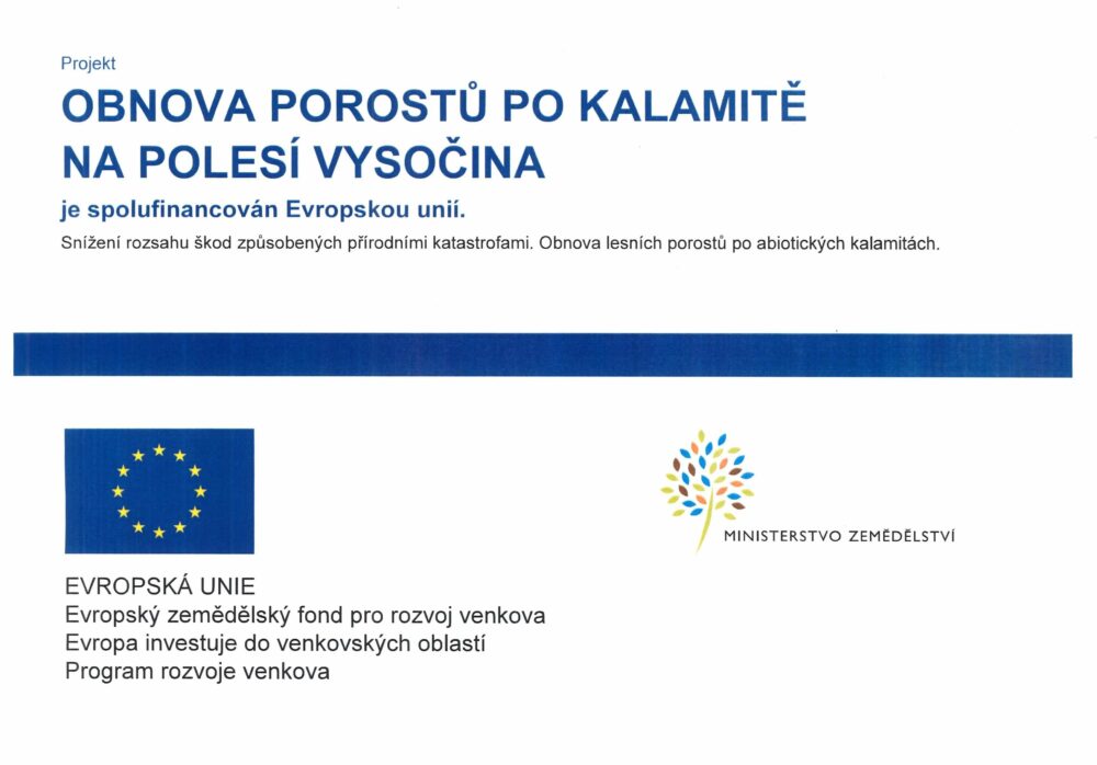 Obnova-po-kalamite-eu-web
