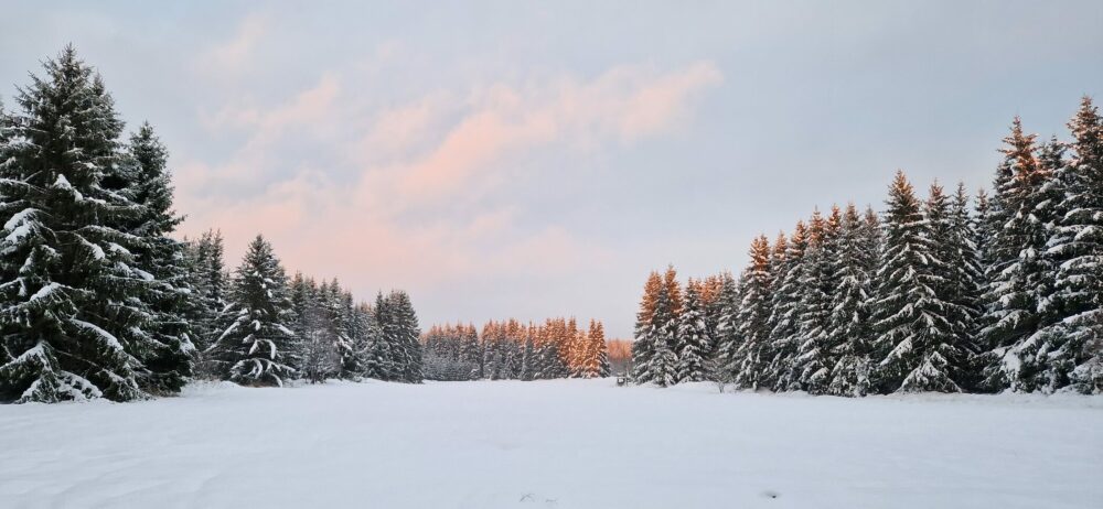 Oppidum Závist s rozhlednou AP lesnická