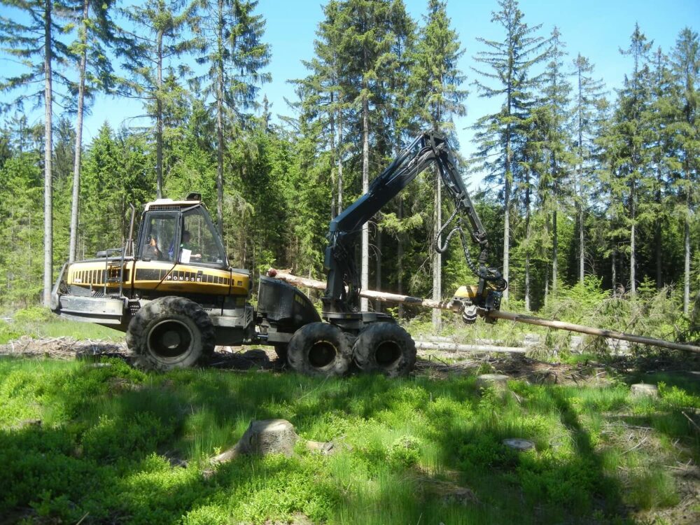 1-harvestor-pri-odkornovani-napadeneho-lapaku-1