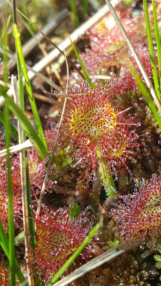 20230611-074601-rotated