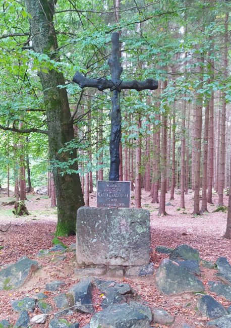 Img_20201003_095553.jpgweb