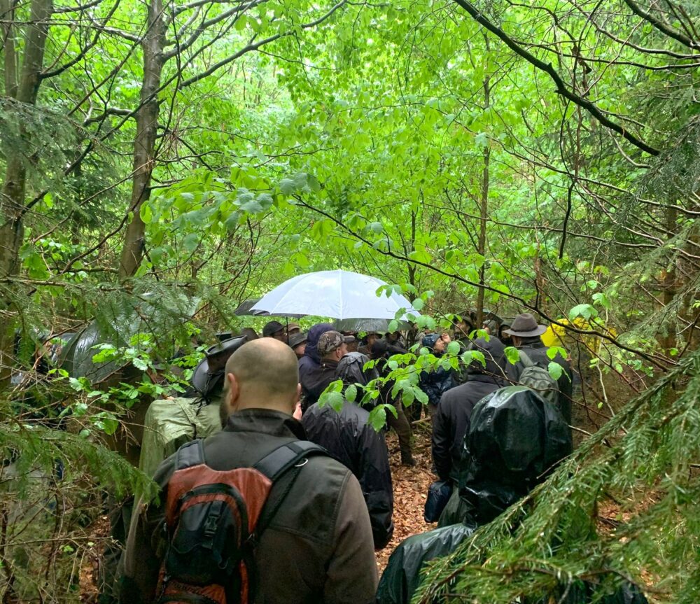 1000001773.jpg náhled