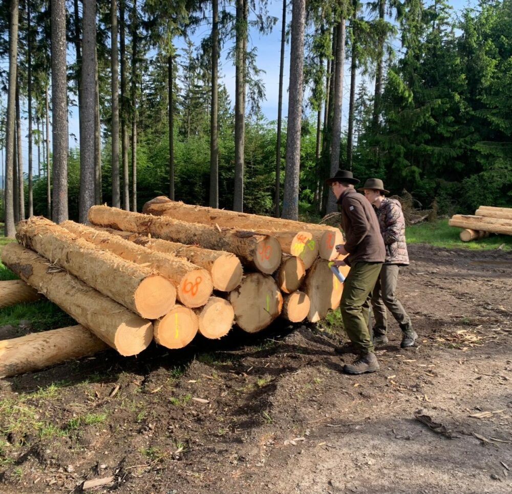 1000001894.jpg vpředu