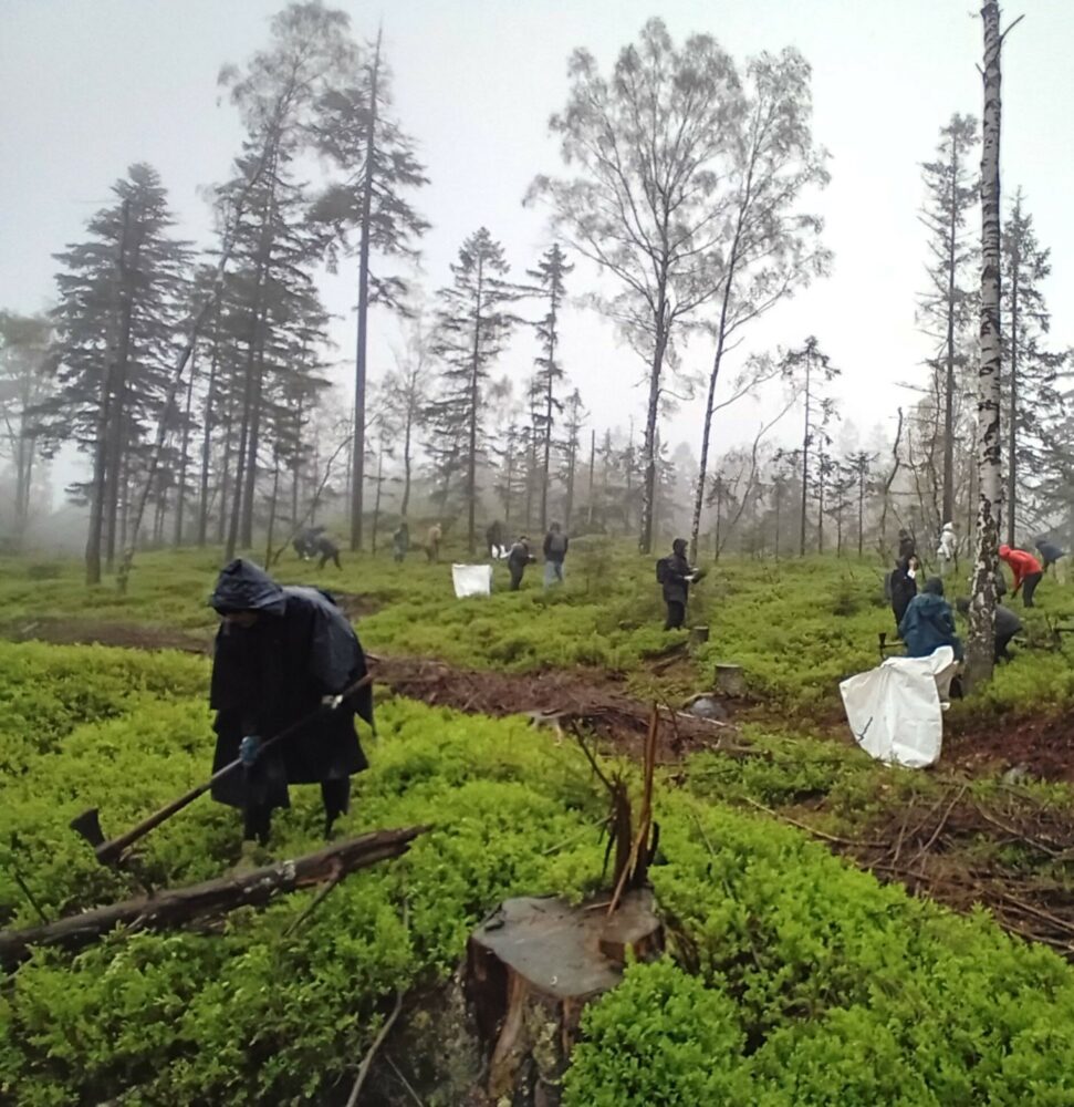 20240410_095853.jpg na web