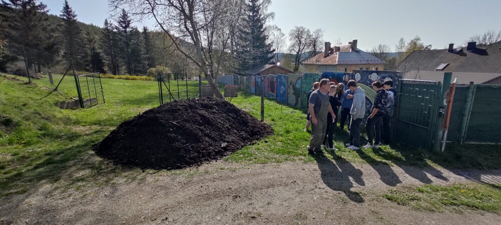 Img-20240411-103033