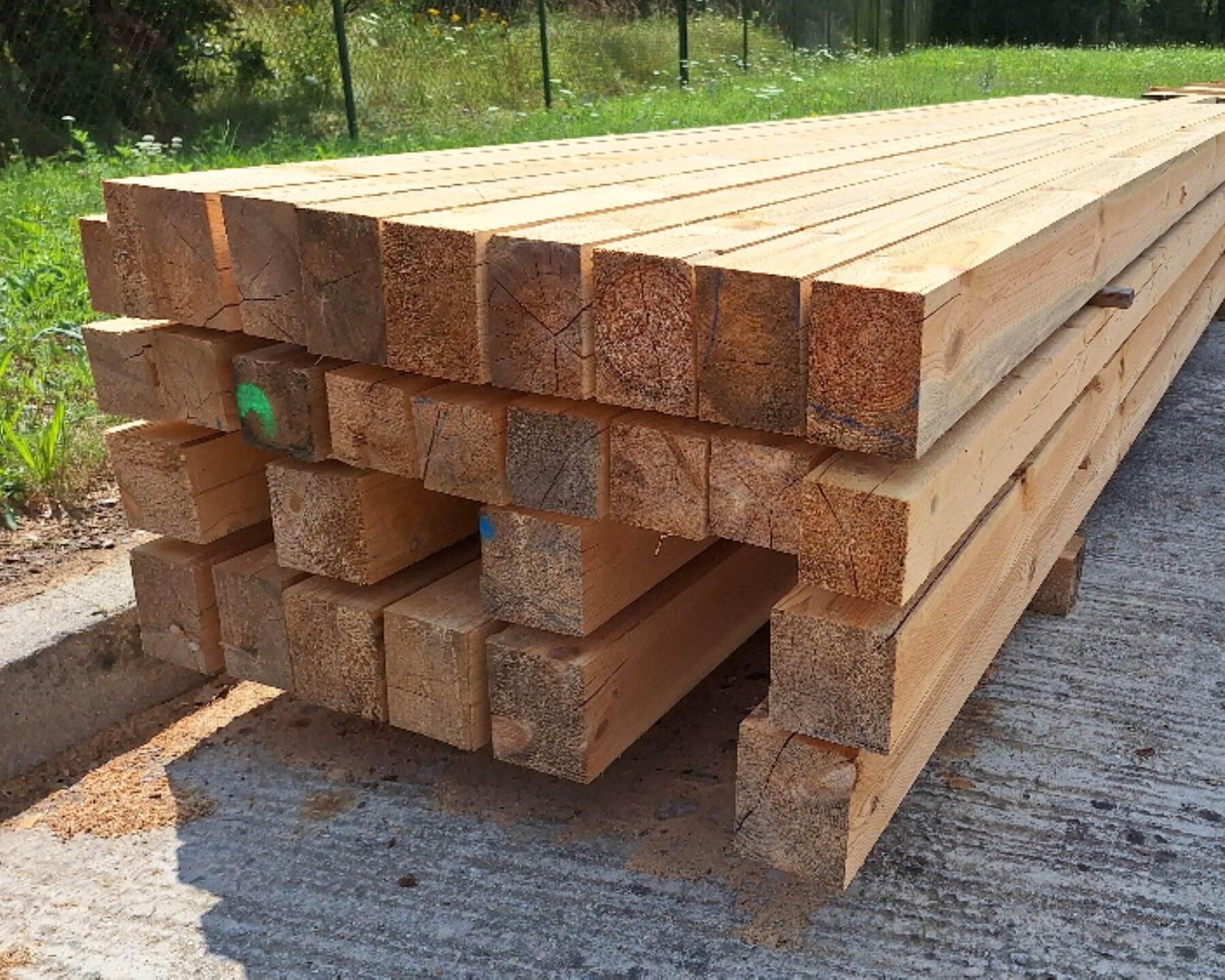 20240725_121448.jpgweb