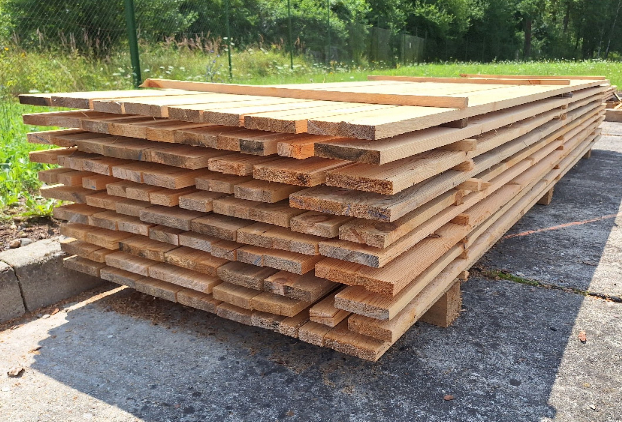 20240725_121642.jpgweb