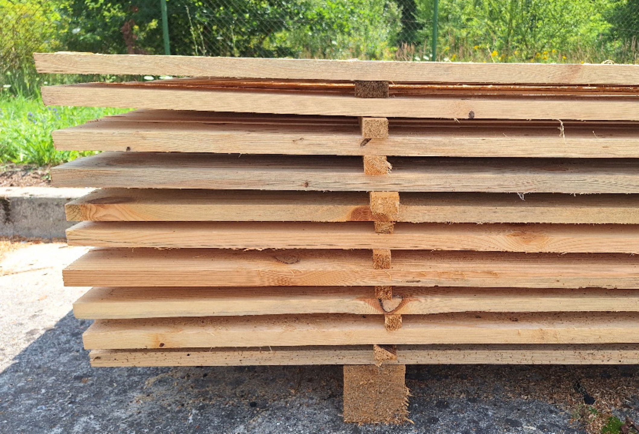 20240725_121802.jpgweb