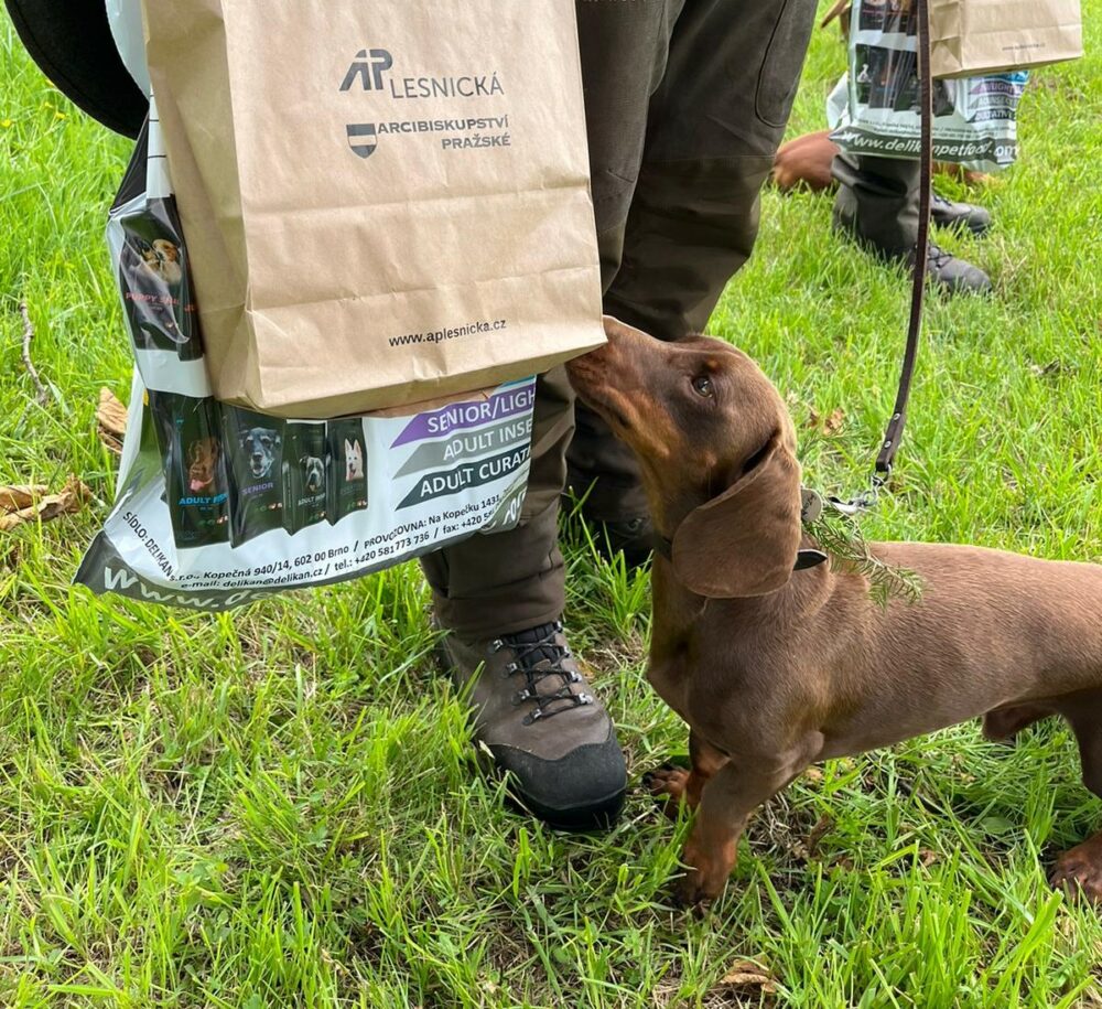 Img-20240711-wa0003.jpgweb2