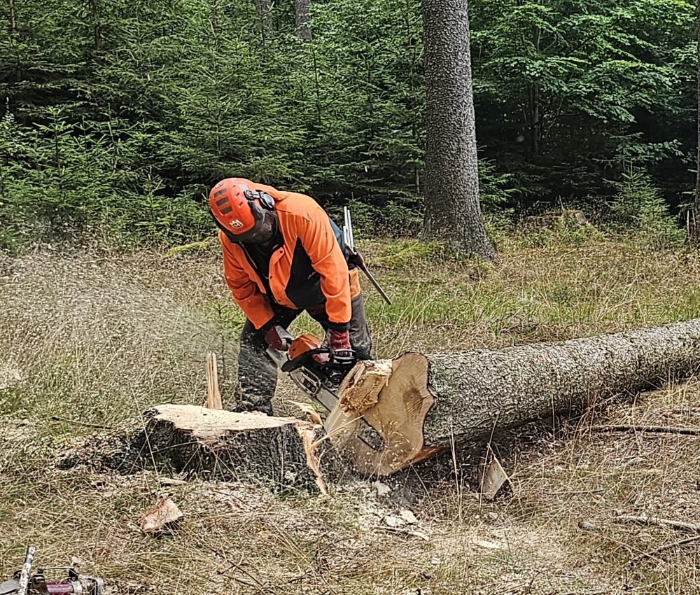 20240724_102100.jpg náhled