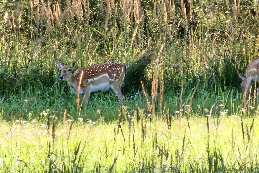 20240729_174120.jpeg web2