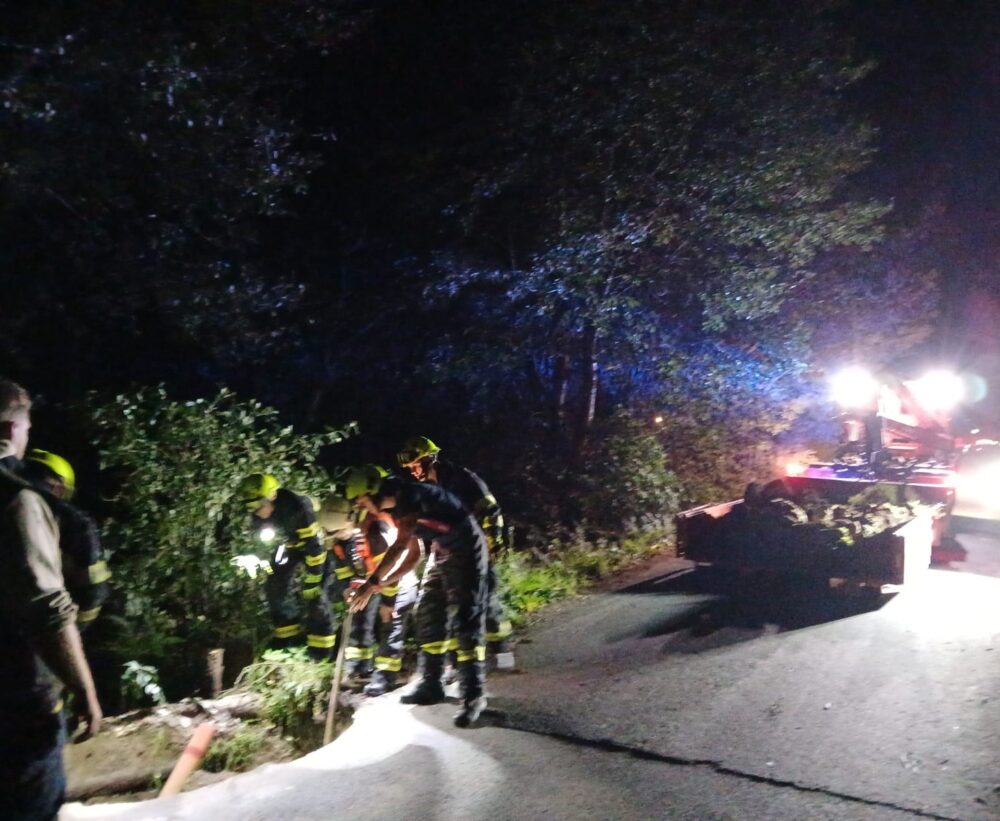 Img-20241111-wa0000.jpg web 2