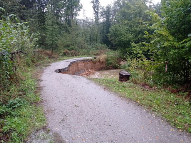 77c01a57-77b9-44f6-b6e9-d484010c39cb