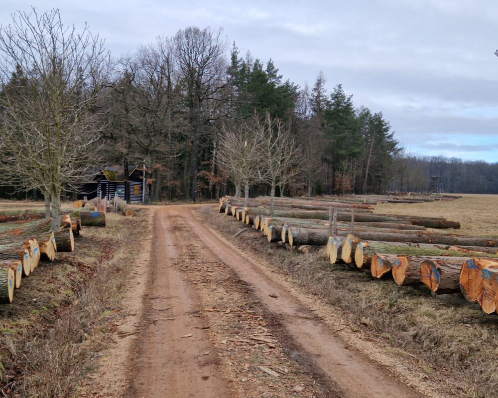 20250225_103752.jpgweb