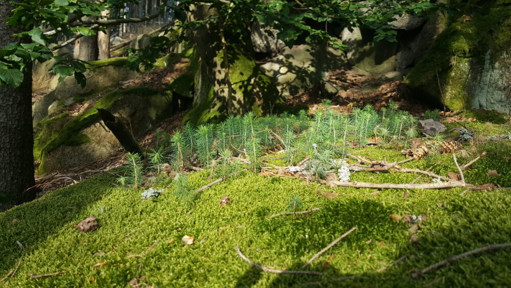 20240807_174604 - kopie