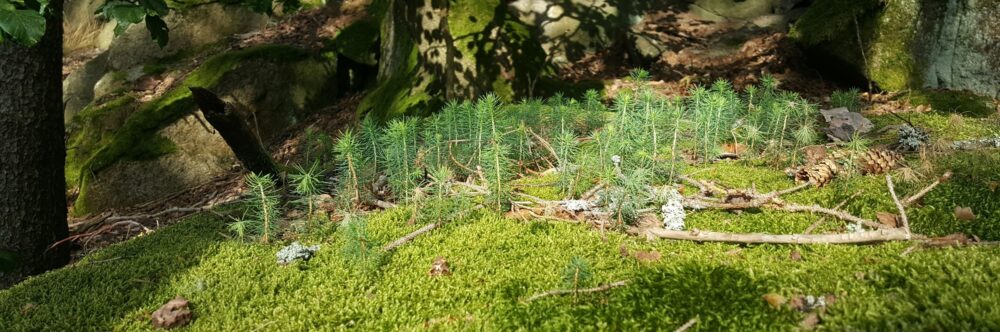 20240807_174604 - web