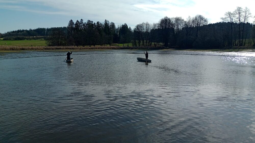 Img-20250411-wa0007