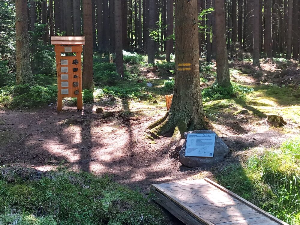 20250624_141610.jpgweb