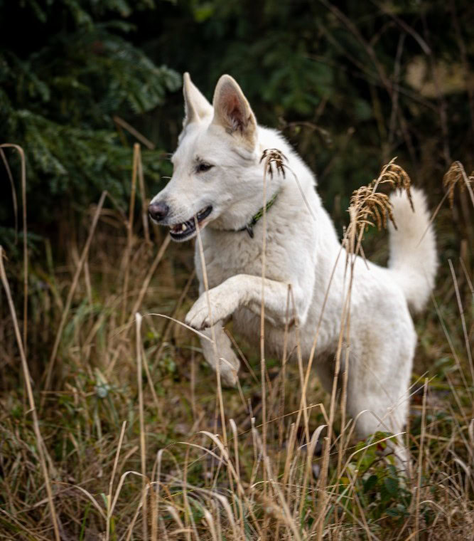 387a6946-vylepsene-nr.jpgweb