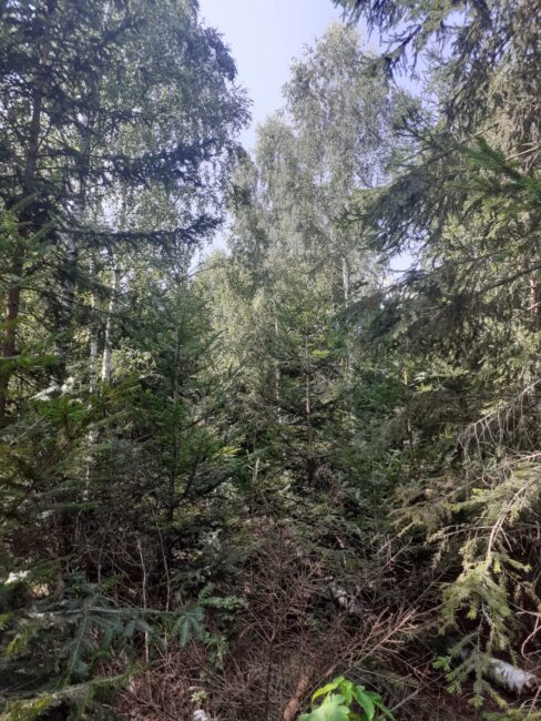 Img-20250817-wa0020