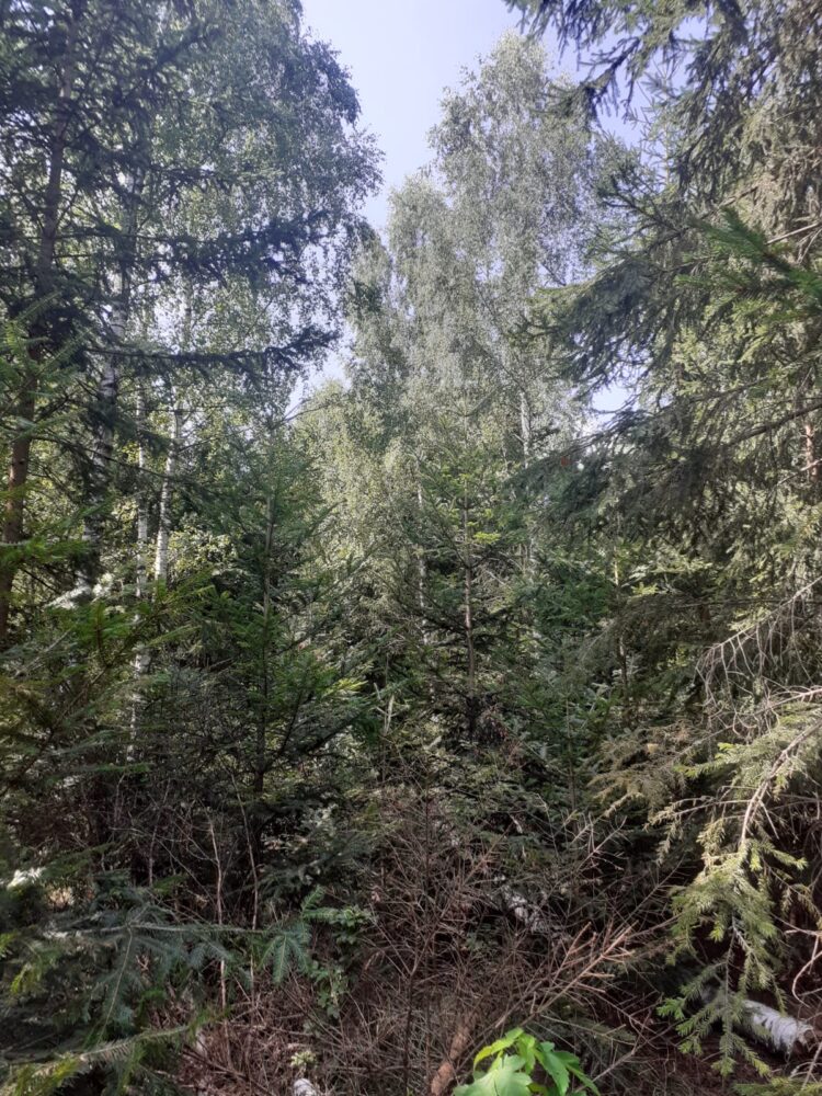 Img-20250817-wa0020