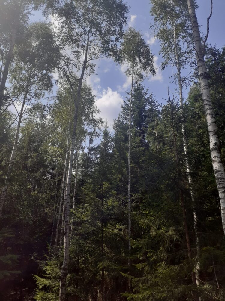 Img-20250817-wa0021
