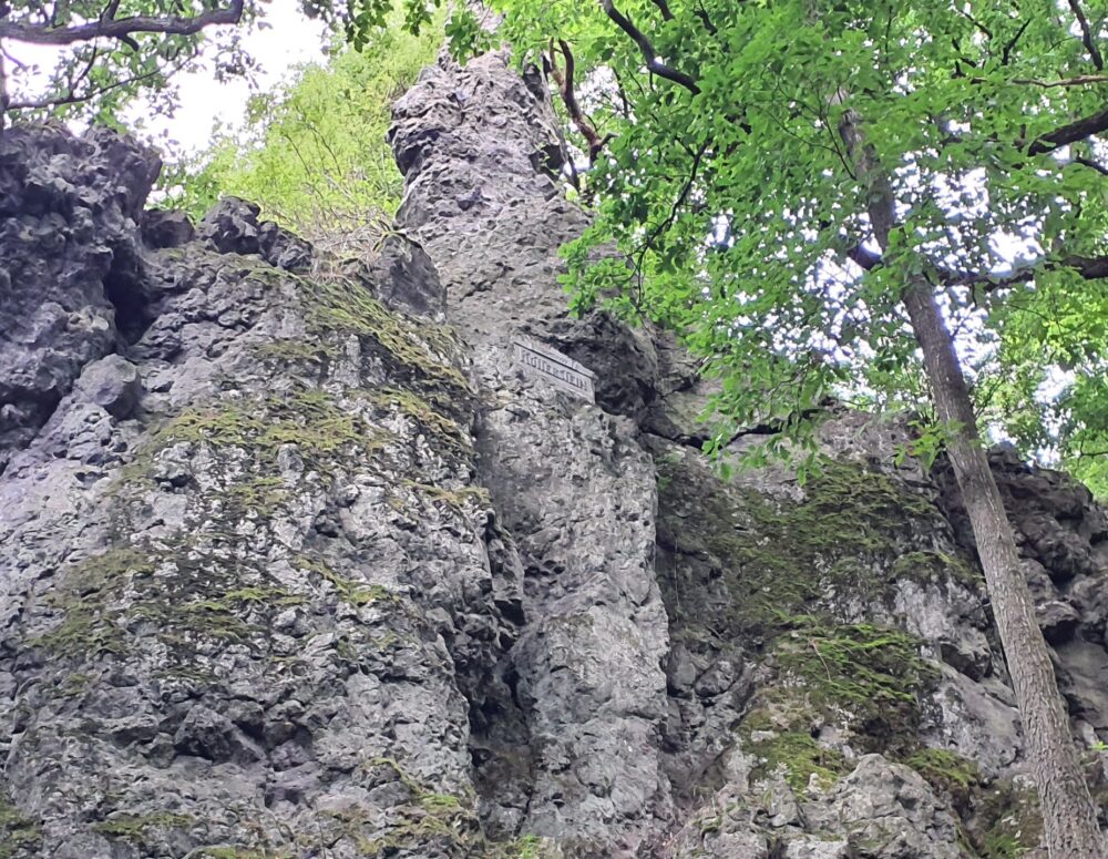 20250724_092529.jpg2