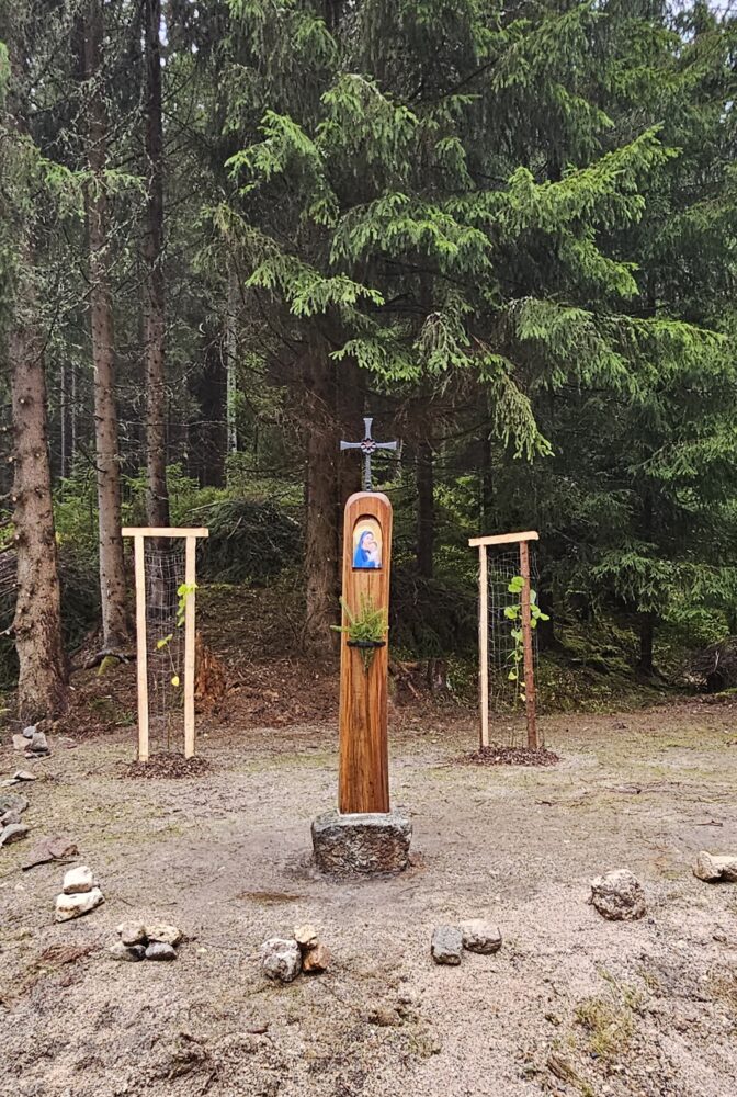 20251024_141836.jpgweb