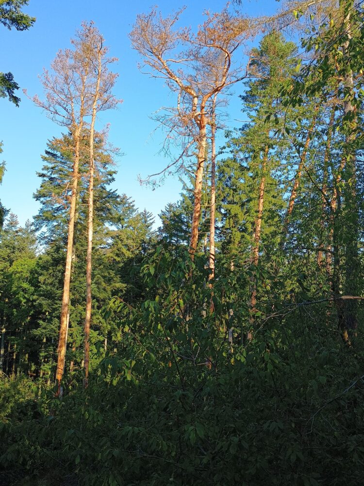 Img-20251001-wa0007