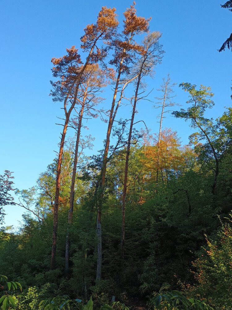 Img-20251001-wa0008