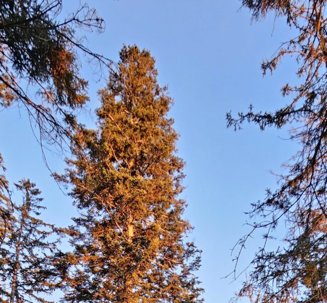 20241228_160533.jpgweb.jpg2