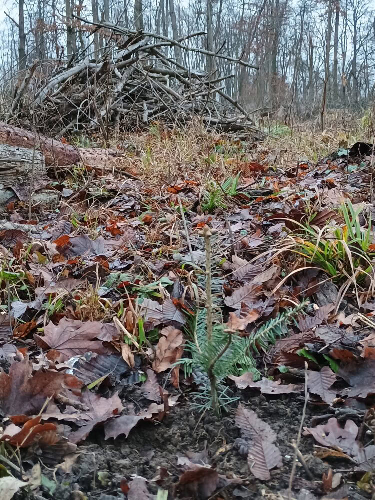 Img_20251215_151707092