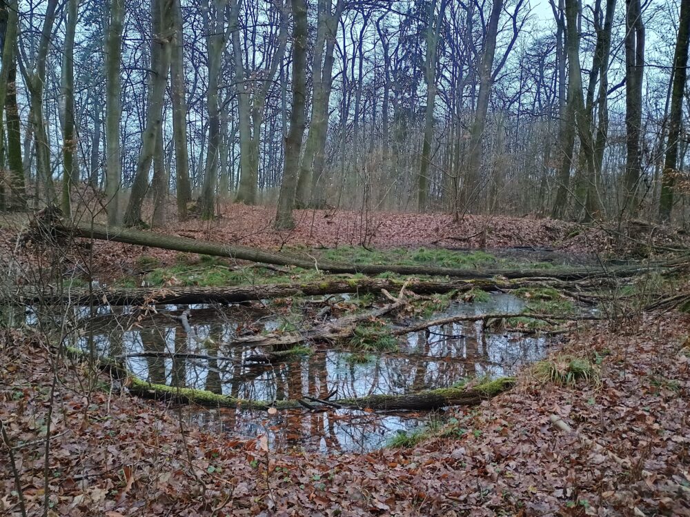 Img_20251215_152525631_hdr