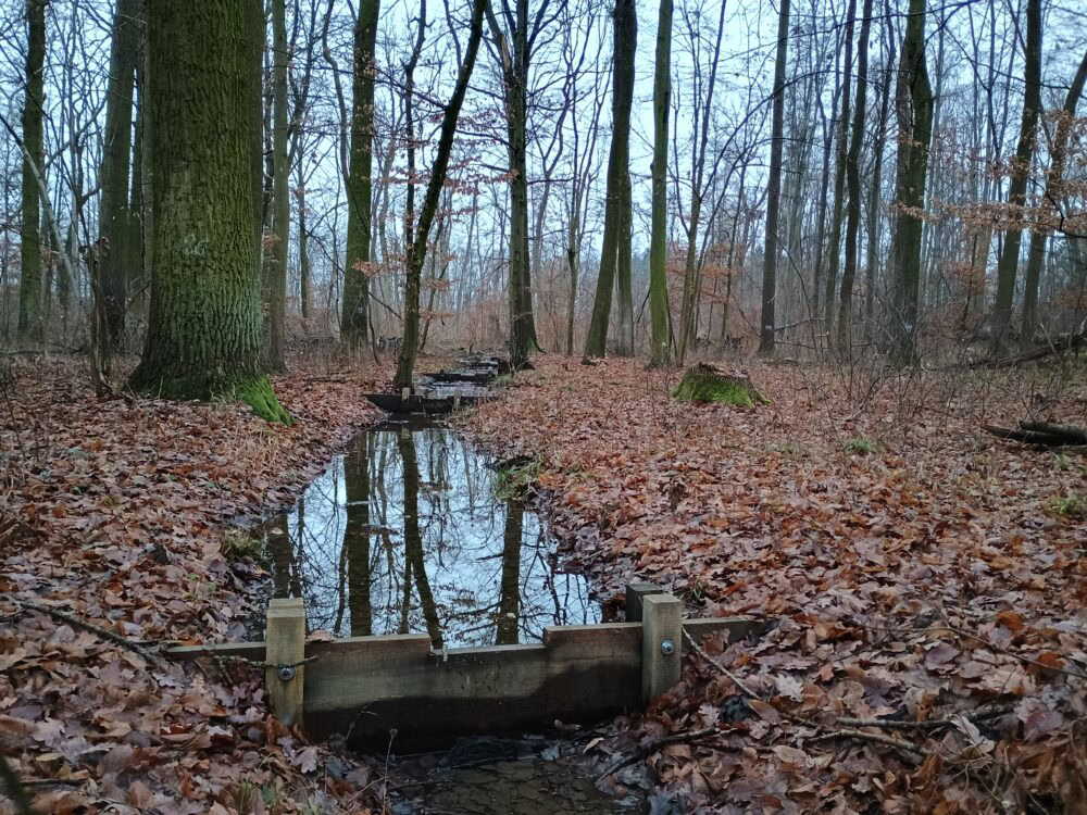 Img_20251215_152604878_hdr