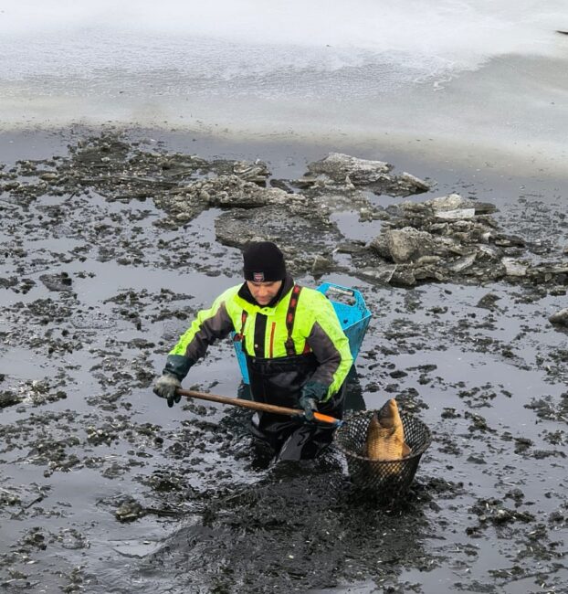 Obrázek whatsapp, 2025-11-27 v 10.28.48_1c4cef18web náhled