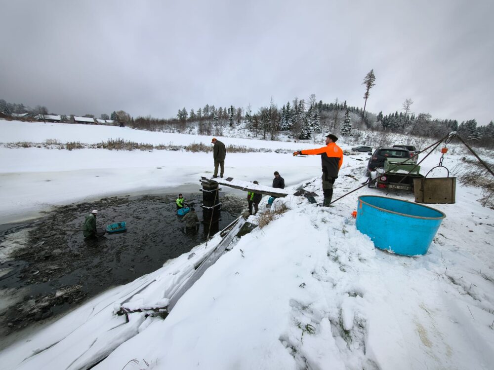 Obrázek whatsapp, 2025-11-27 v 10.28.48_4f75aefe