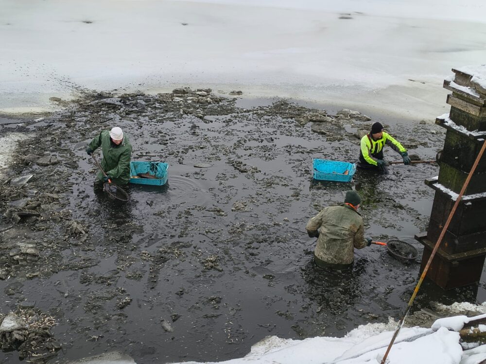 Obrázek whatsapp, 2025-11-27 v 10.28.48_9602e7e0