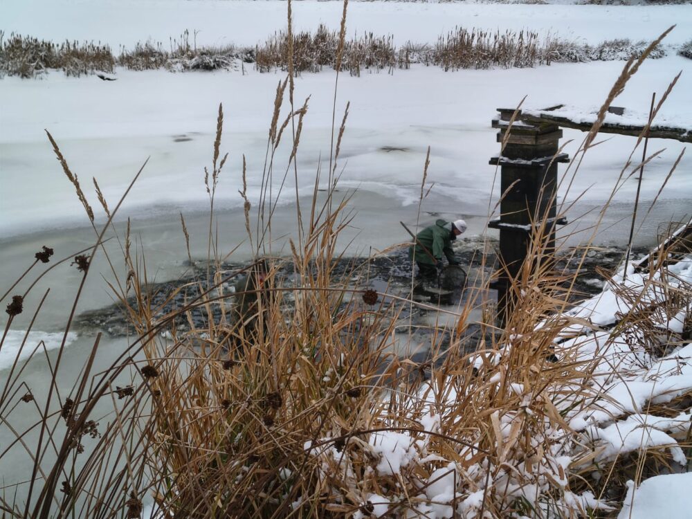 Obrázek whatsapp, 2025-11-27 v 10.28.52_8a12cb63