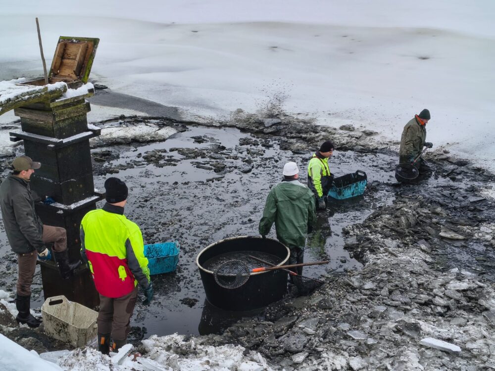 Obrázek whatsapp, 2025-11-27 v 10.28.53_6fb6478f