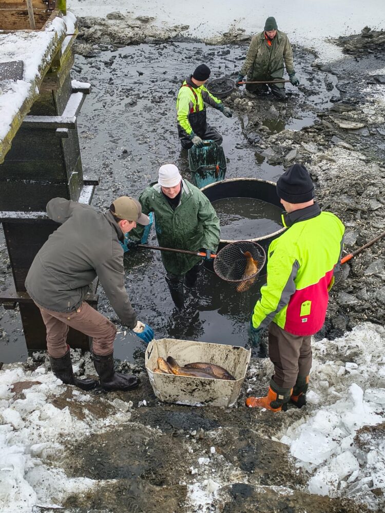 Obrázek whatsapp, 2025-11-27 v 10.29.42_15e0fdb6