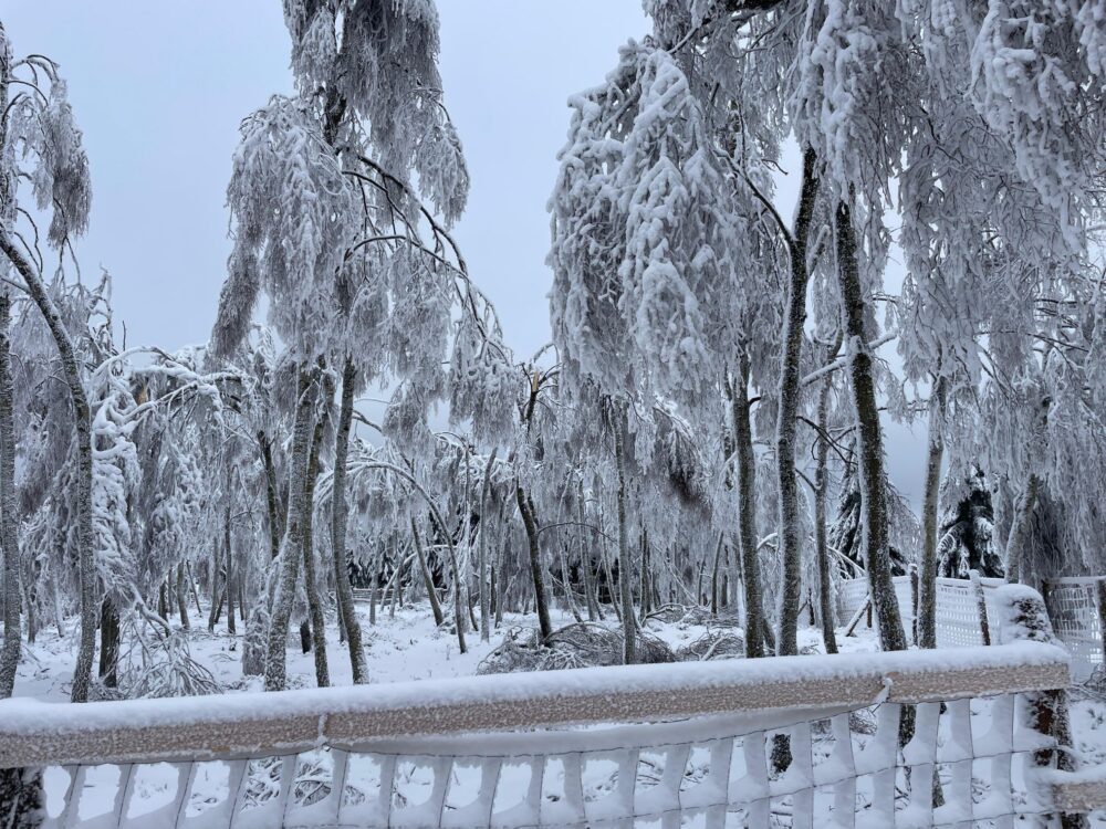 Img-20260128-wa0017galerie