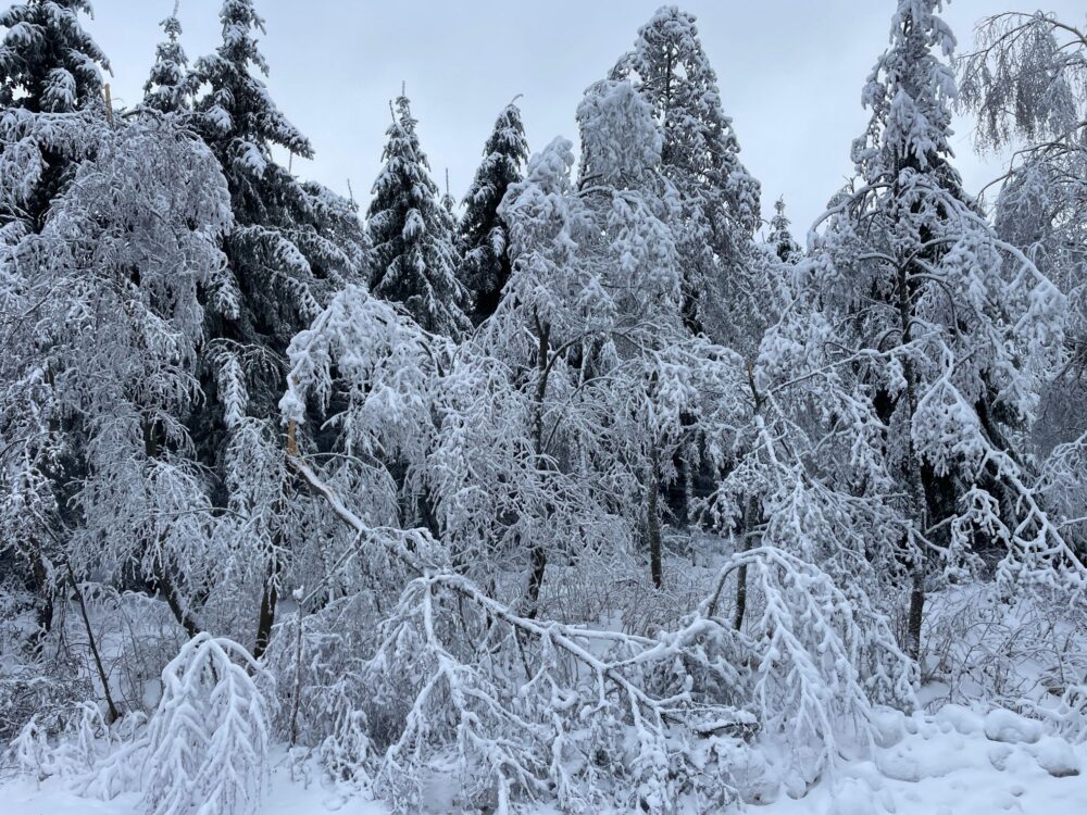 Img-20260128-wa0023 galerie