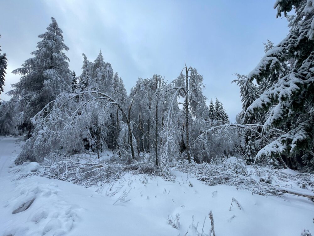 Img-20260128-wa0025 galerie