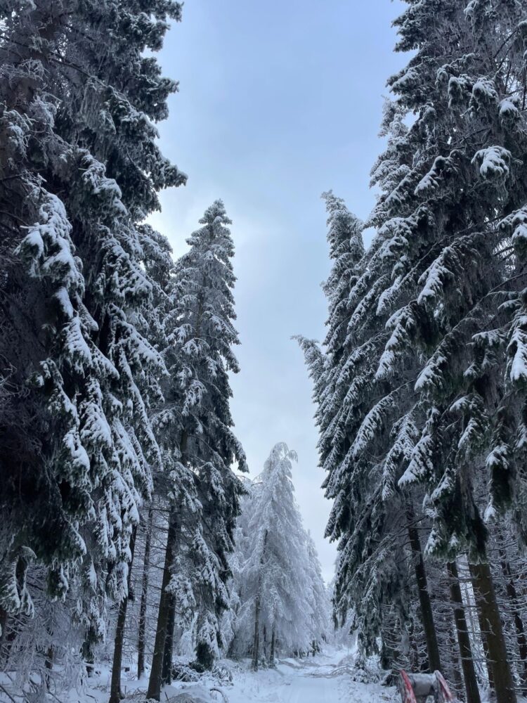 Img-20260128-wa0026 galerie