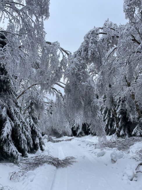 Img-20260128-wa0027galerie