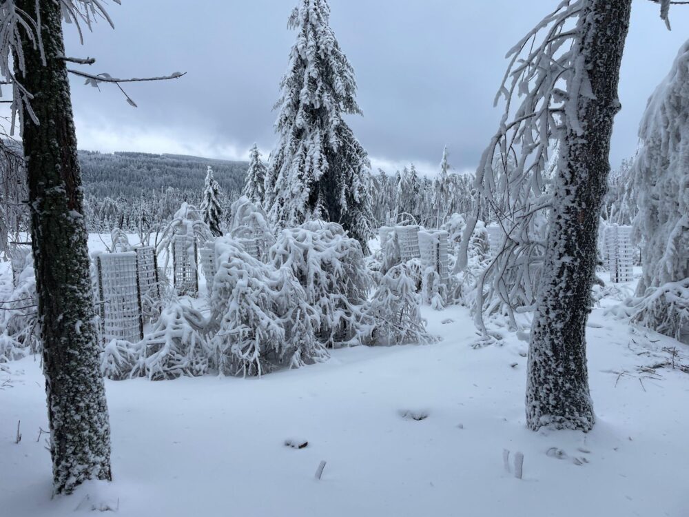 Img-20260128-wa0031 galerie