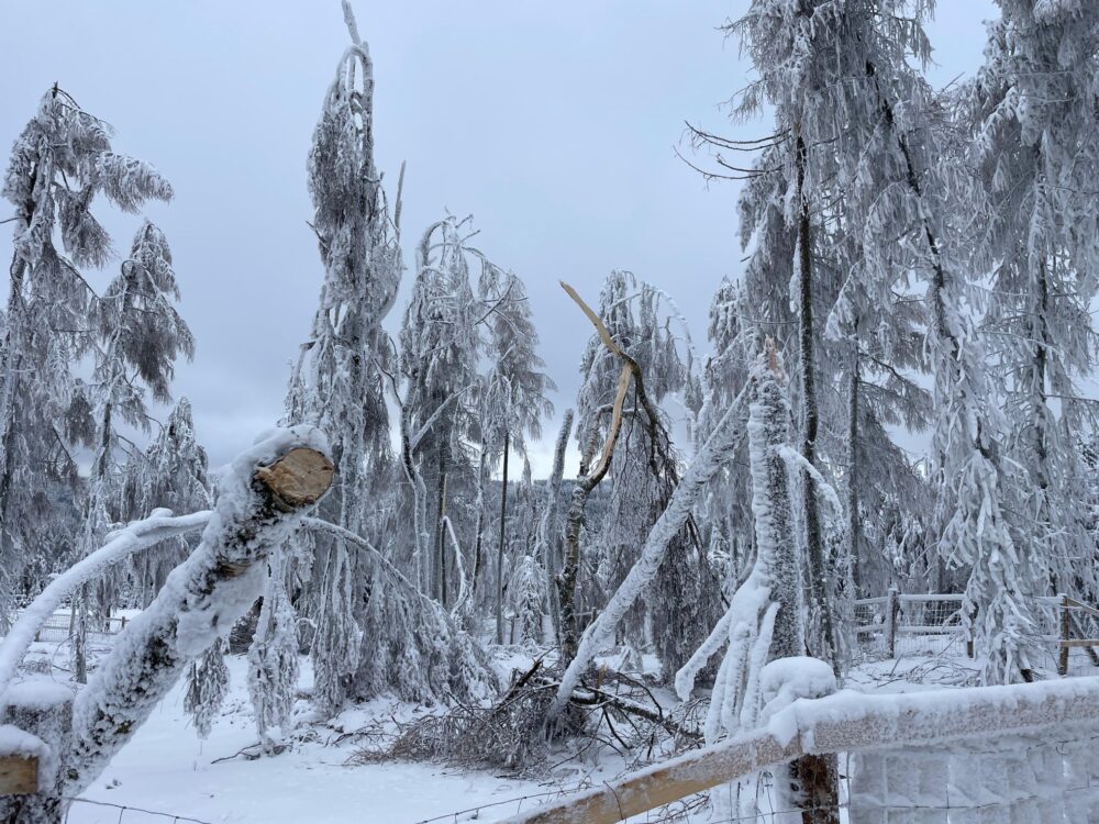 Img-20260128-wa0032 galerie