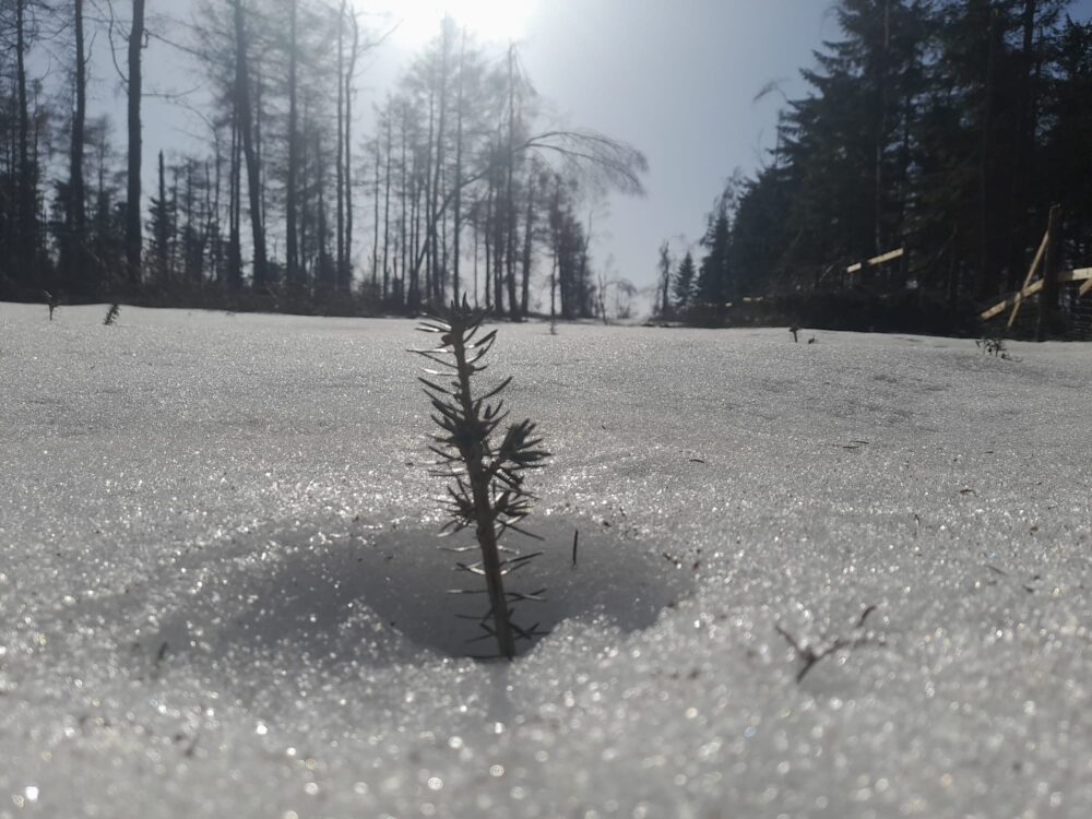 Photo-2026-02-27-13-12-32 (1)