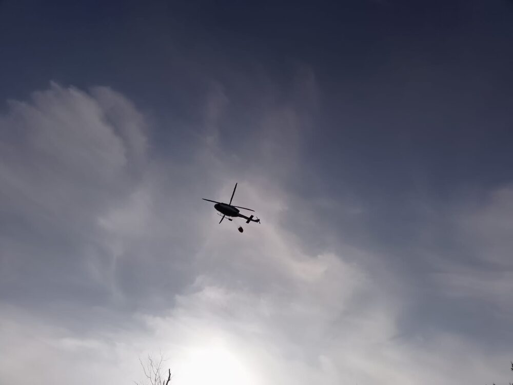 Whatsapp image 2026-03-09 at 15.05.49 - kopie